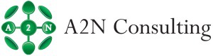 A2N Consulting