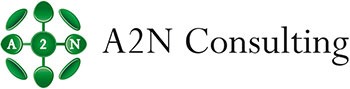 A2N Consulting